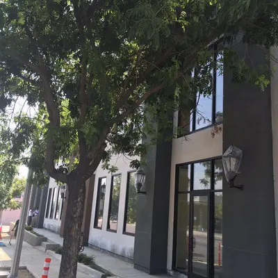 2956 E Colorado Blvd Pasadena, CA 91107 - photo 2